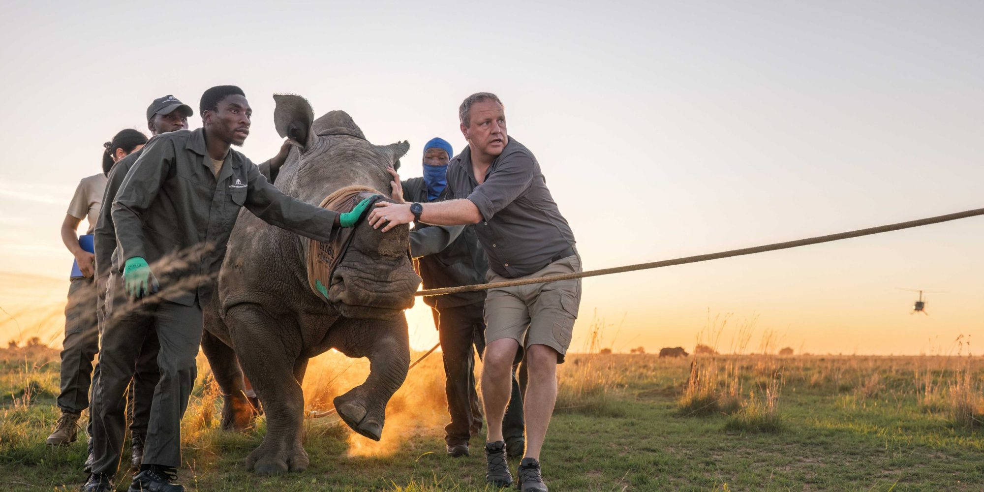 KZN Rhino Rewild Translocation part 1 2mb for blogs-12