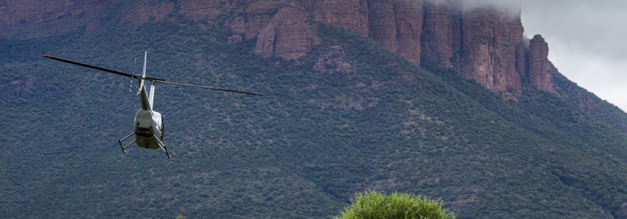 Marataba_Day_2_2mb_SRGB_DN_1_Wiki_West-WEST5491