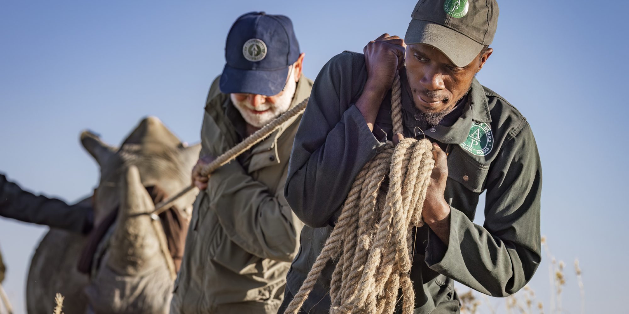 Project Rhino by Wiki West from WeWild Africa compressed-20