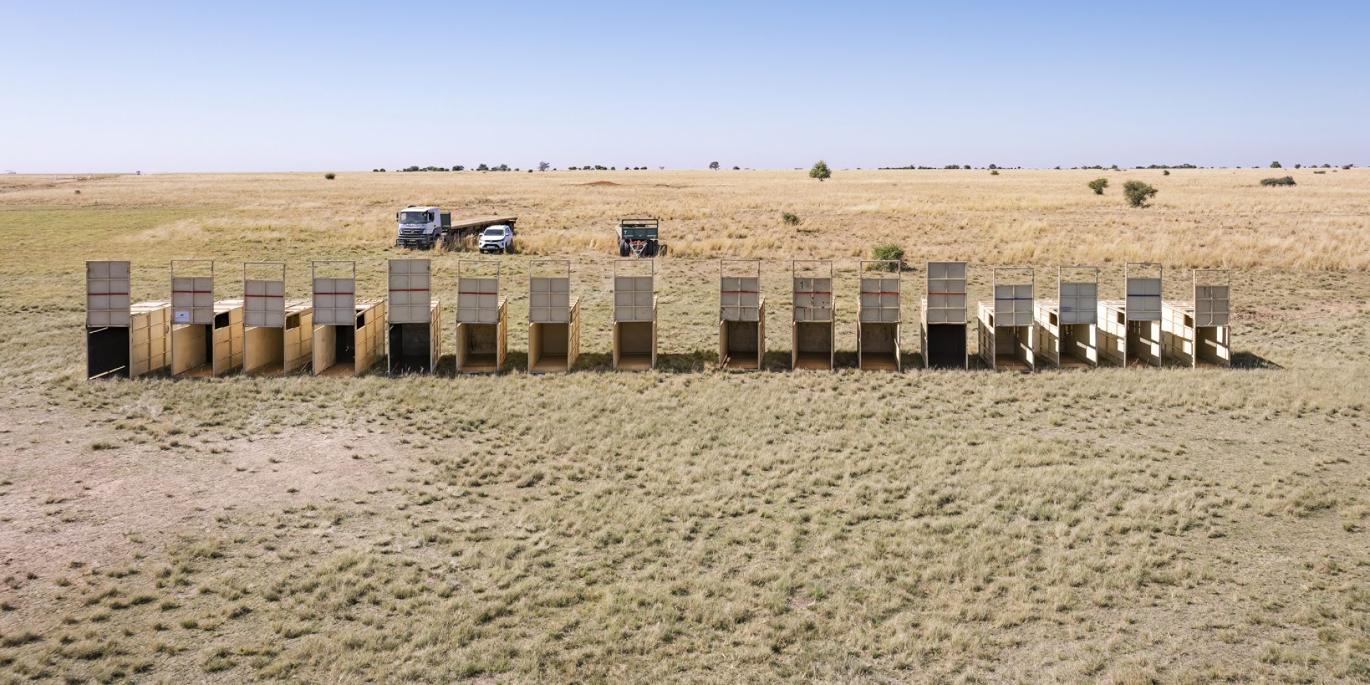 Project Rhino by Wiki West from WeWild Africa compressed-6