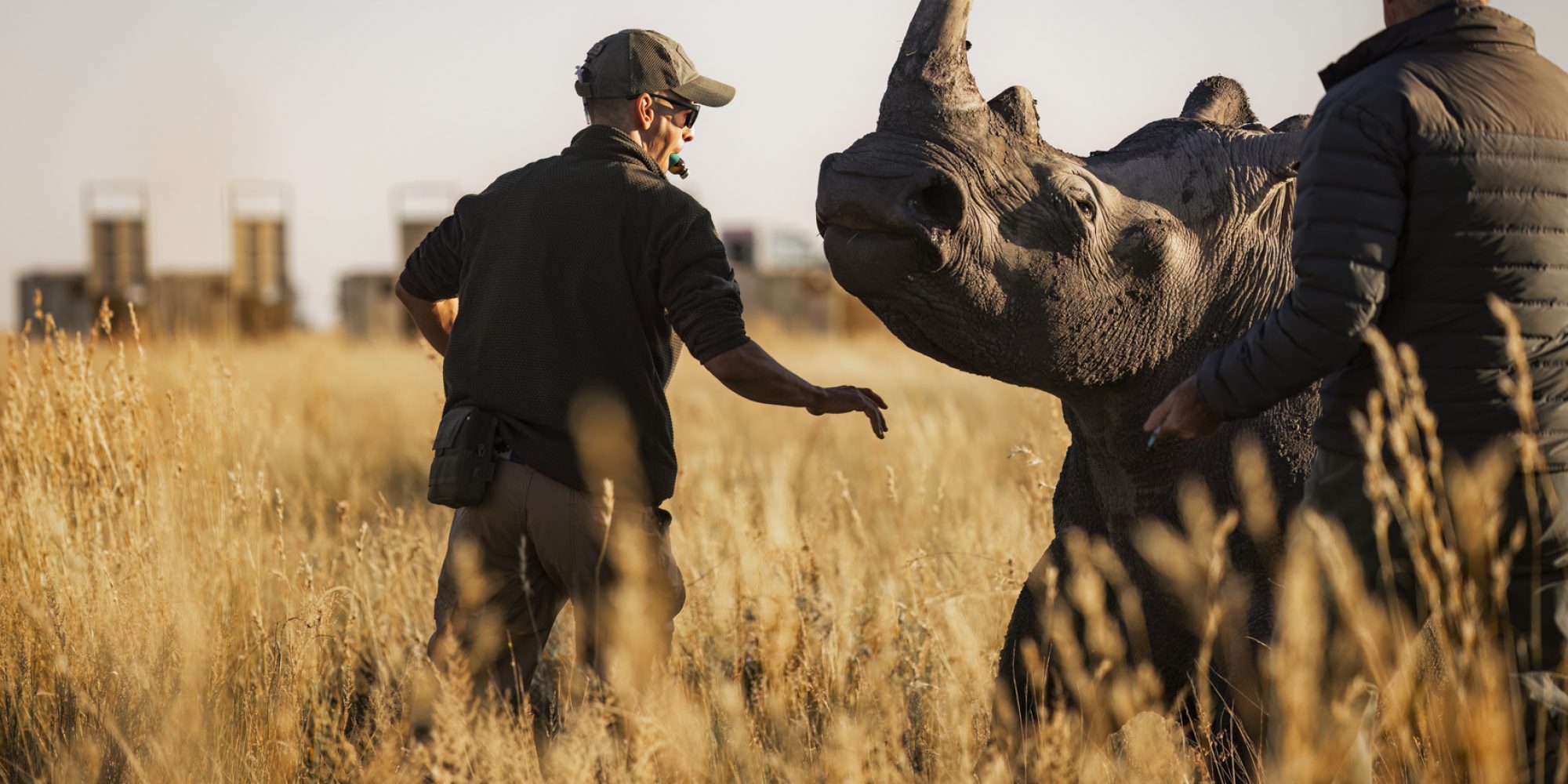 Project Rhino by Wiki West from WeWild Africa compressed-92