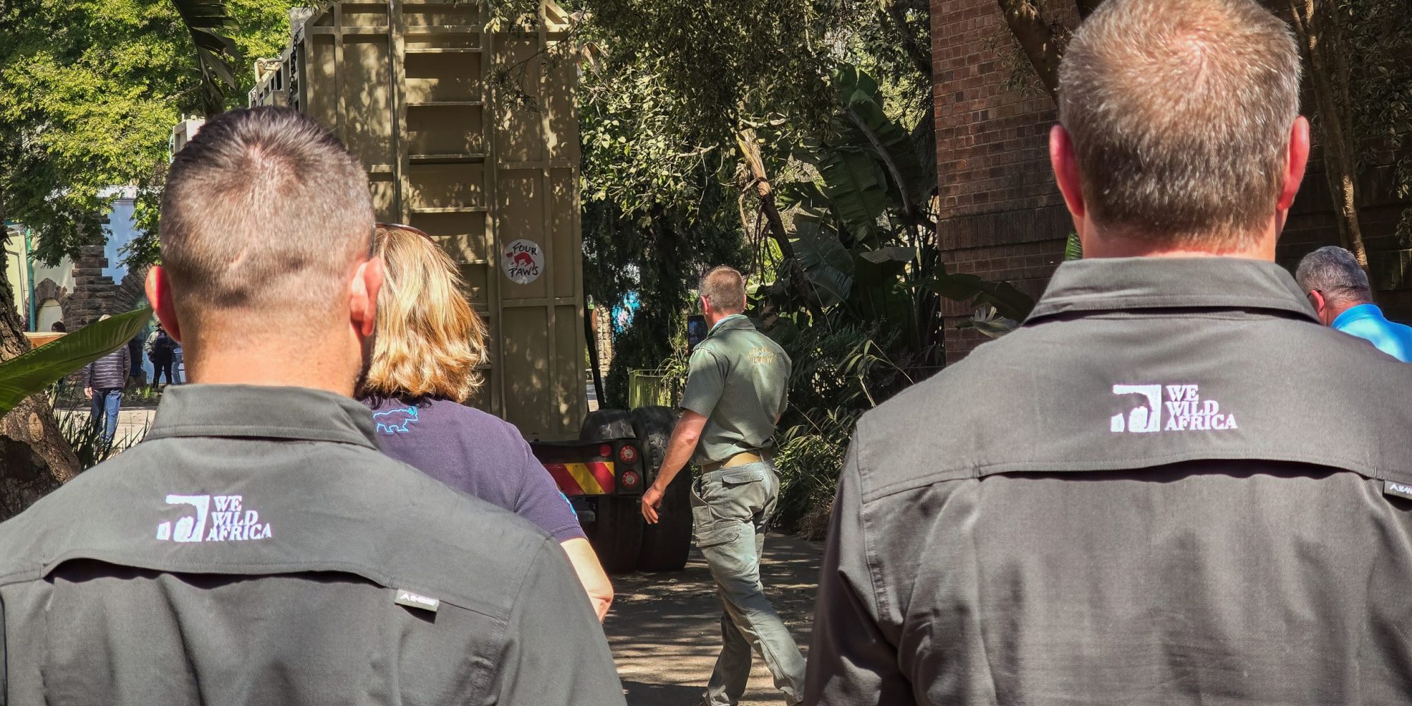 WeWild Africa Charlie Elephant watermarked-19