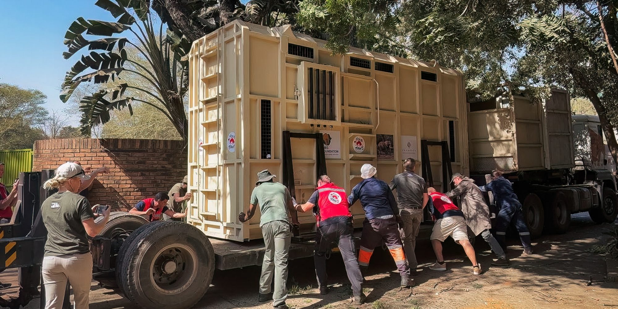 WeWild Africa Charlie Elephant watermarked-28