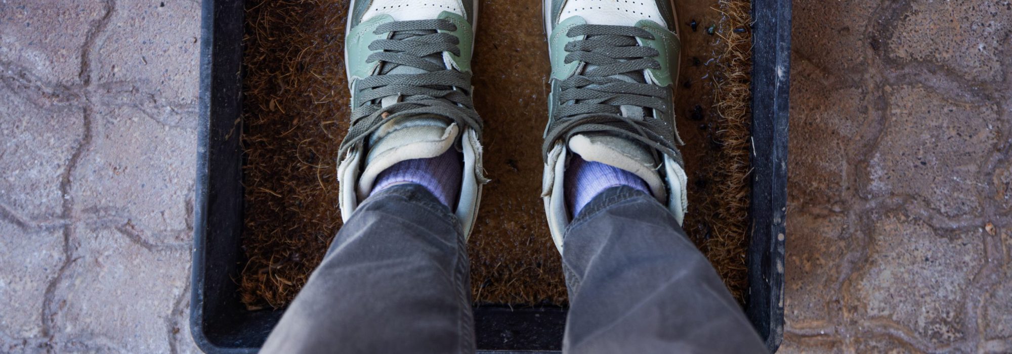 foot_and_mouth_update_loskop-5